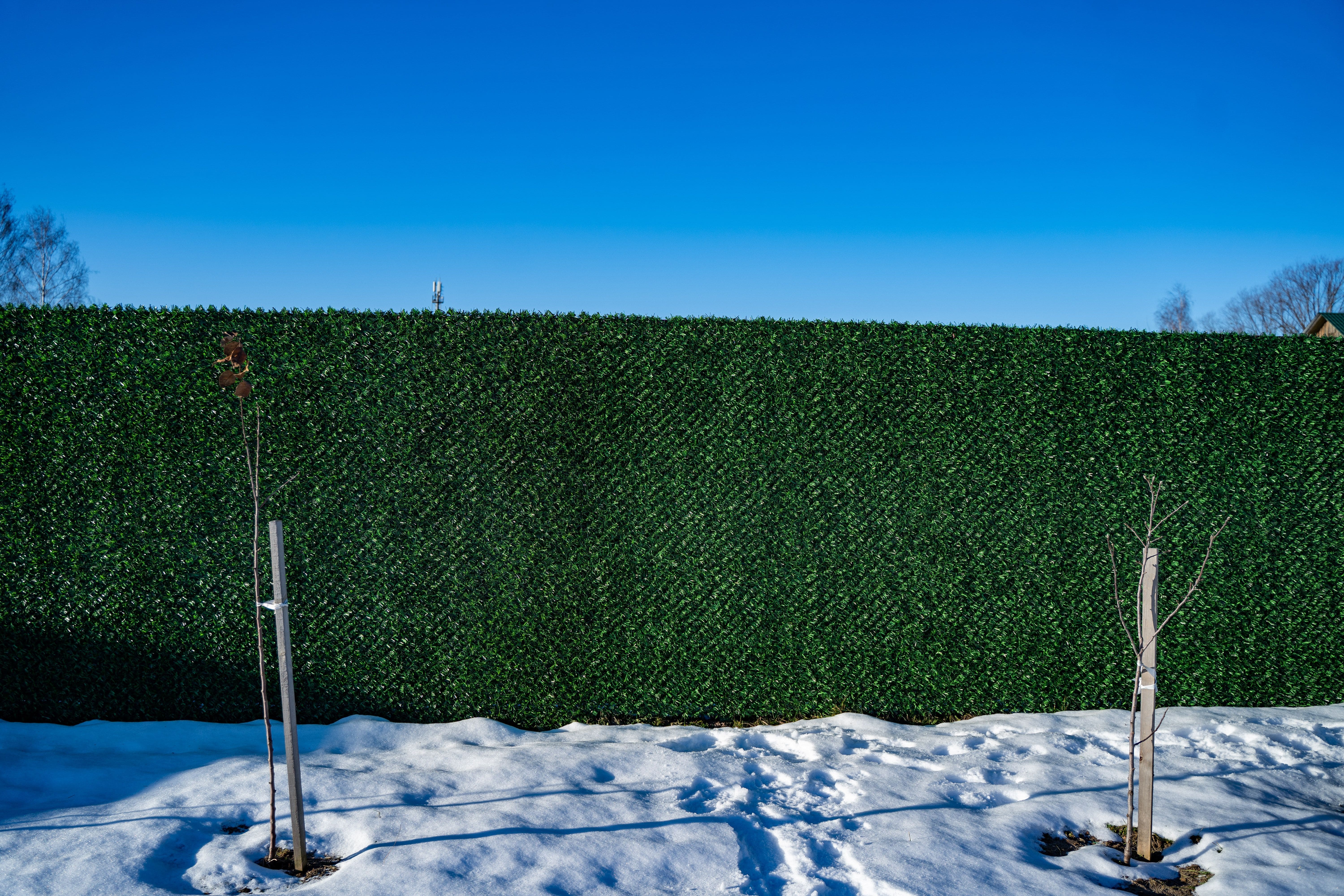 Вечнозеленый забор Grass Fence рулон 2м фото 8 в Волгограде